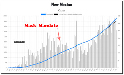 Masks-NewMexico Mask Ordnance